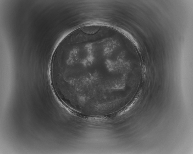 X0000116850863200912221117