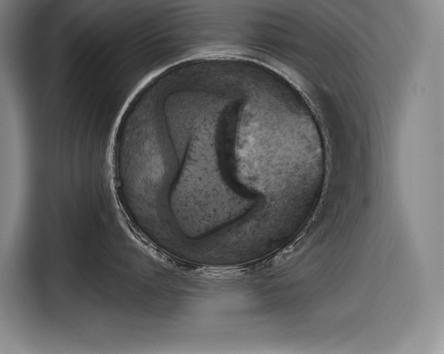 X0000116850864200912221117