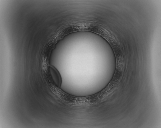X0000116850866200912221117