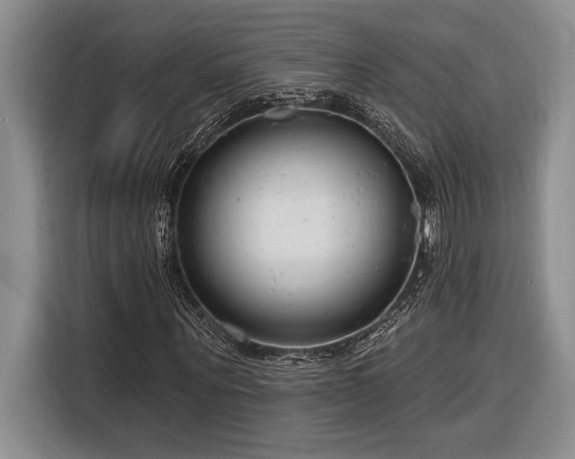 X0000116850867200912221117