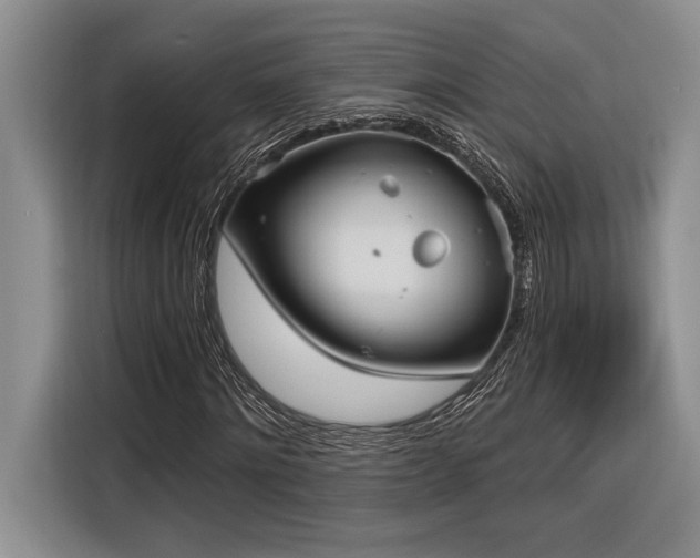 X0000116850868200912221117