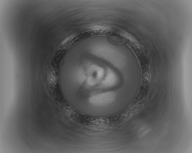 X0000116850869200912221117