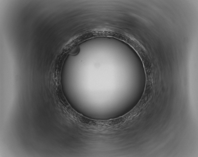X0000116850870200912221117