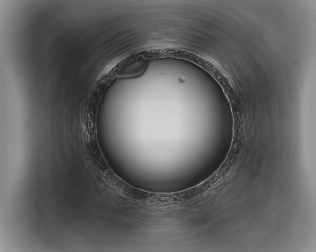 X0000116850871200912221117