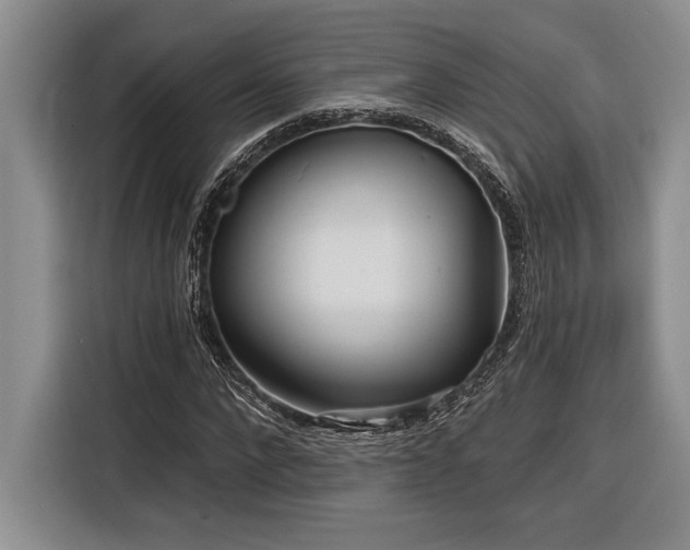 X0000116850872200912221117