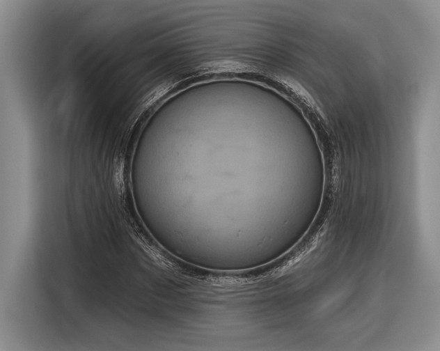 X0000116850873200912221117