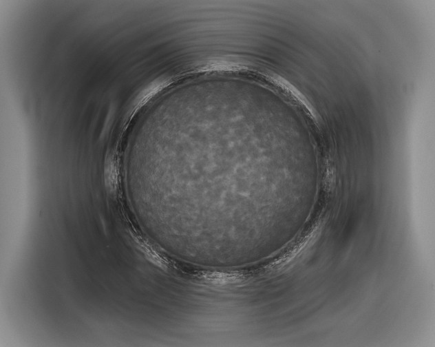 X0000116850874200912221117