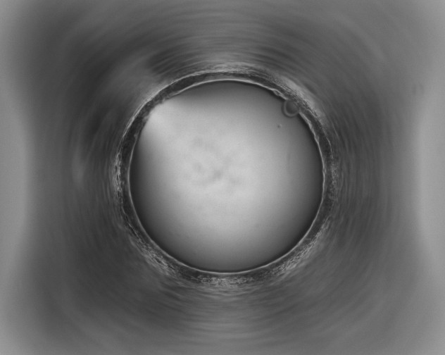 X0000116850875200912221117