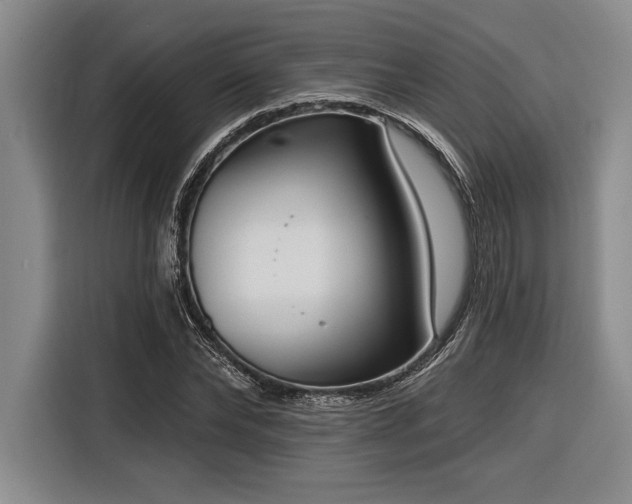 X0000116850878200912221117
