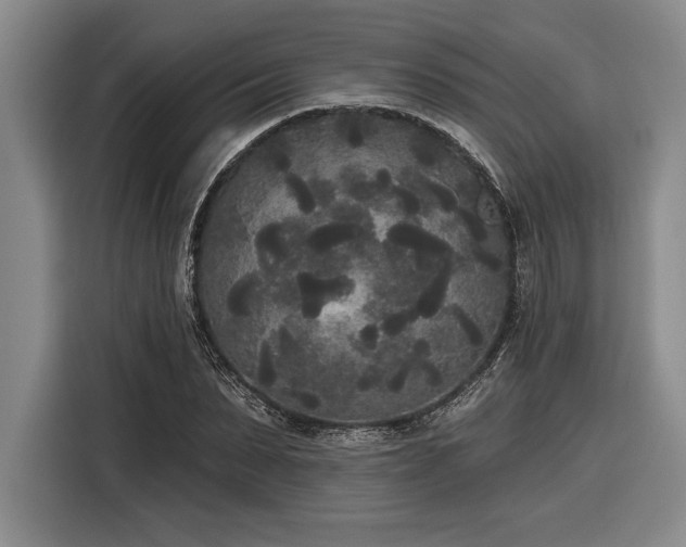 X0000116850879200912221117