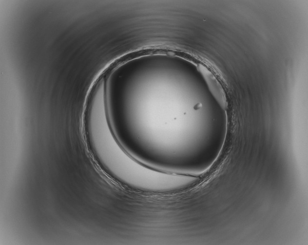 X0000116850880200912221117