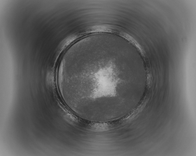 X0000116850882200912221117