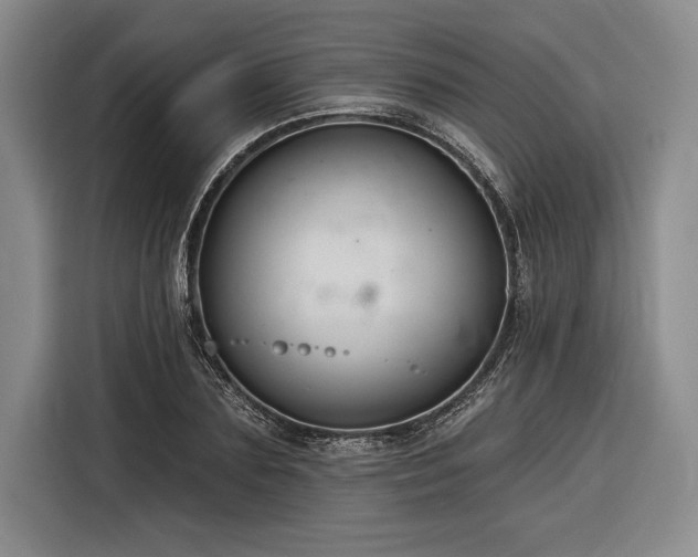 X0000116850883200912221116
