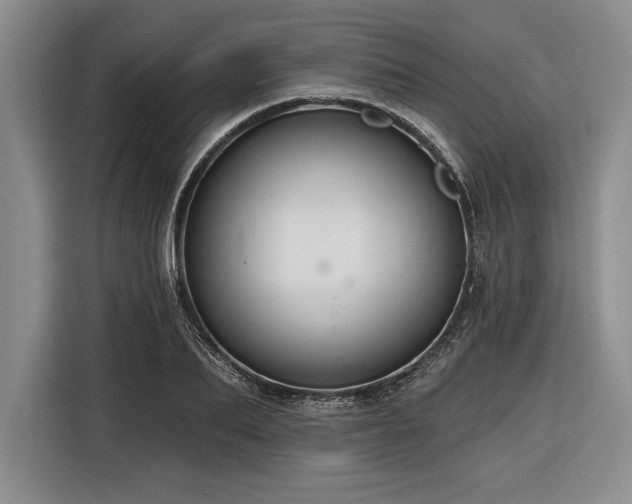 X0000116850887200912221116