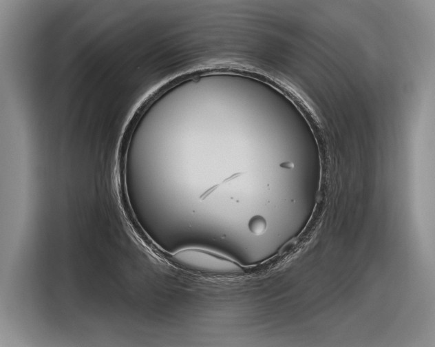 X0000116850888200912221116