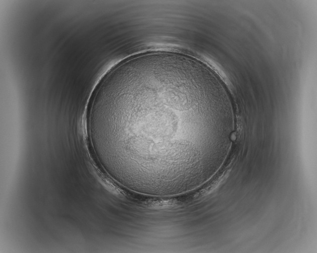 X0000116850891200912221116