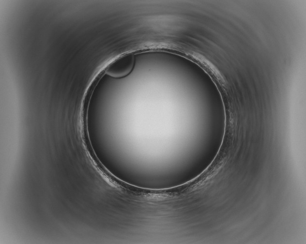 X0000116850894200912221116