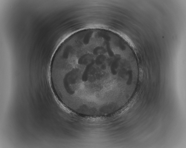 X0000116850895200912221116