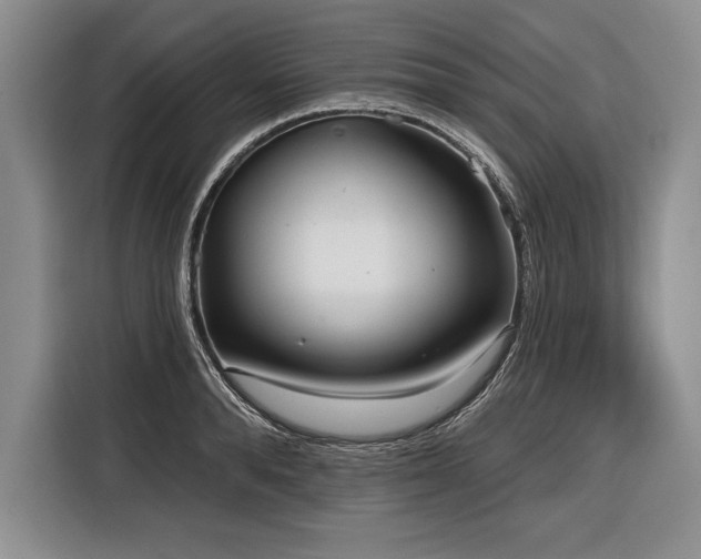X0000116850896200912221116