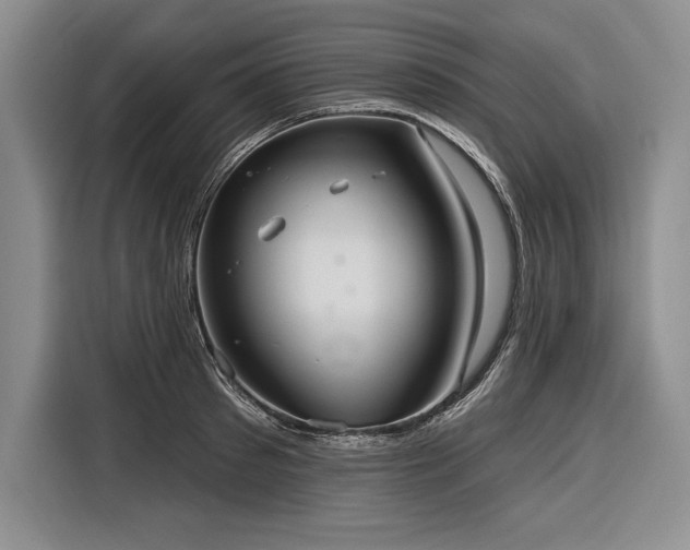 X0000116850897200912221116