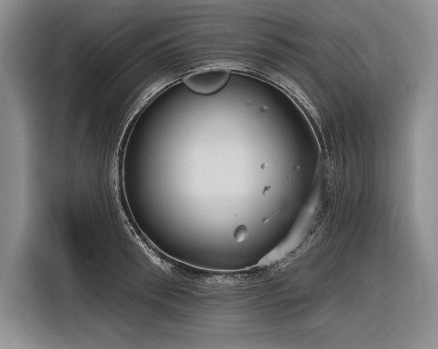 X0000116850898200912221116