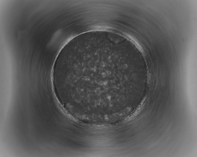 X0000116850899200912221116