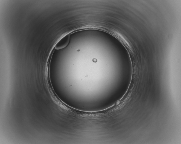 X0000116850900200912221116