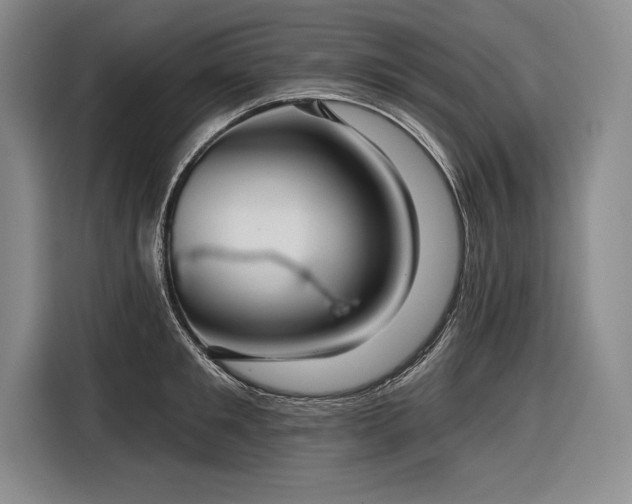 X0000116850901200912221116