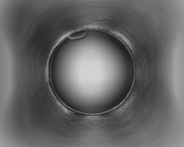 X0000116850902200912221116