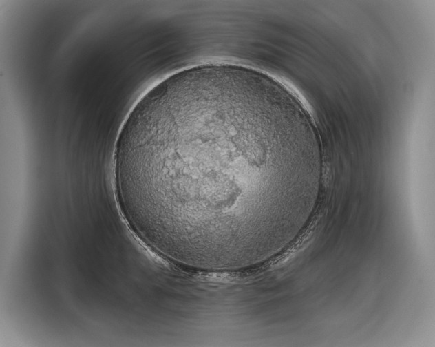 X0000116850903200912221116