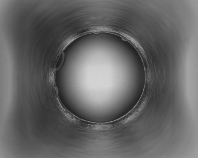 X0000116850905200912221116