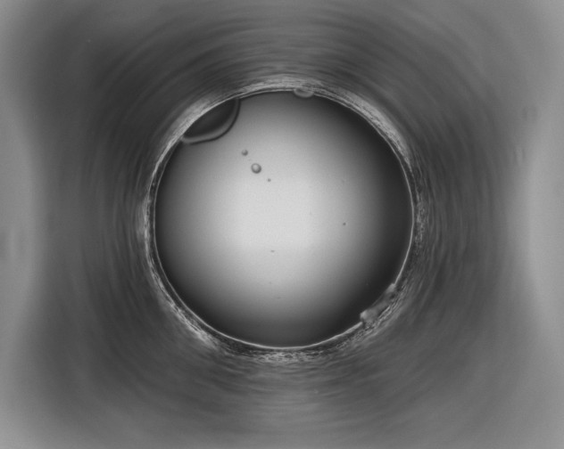 X0000116850906200912221116