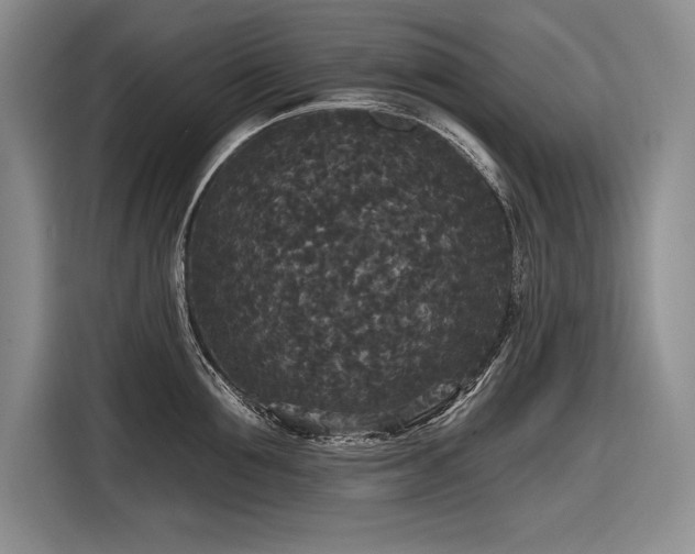 X0000116850907200912221116