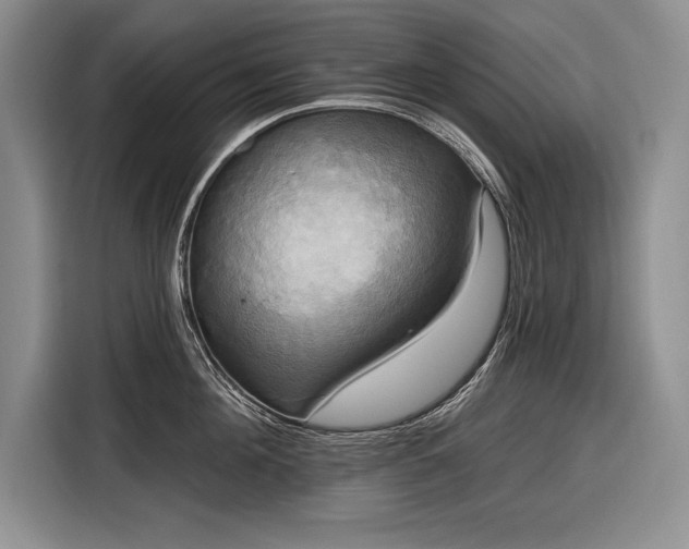 X0000116850908200912221116
