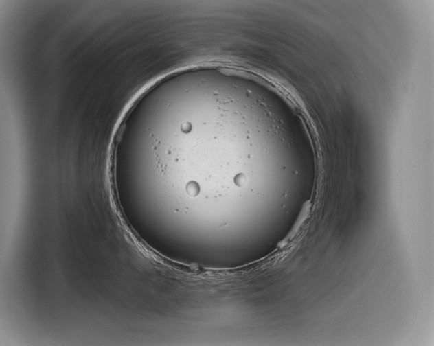 X0000116850912200912221116