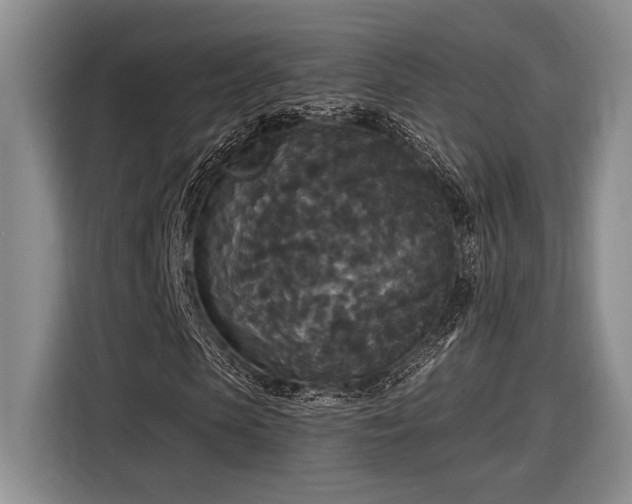 X0000116850913200912221116