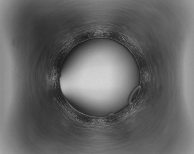 X0000116850914200912221116