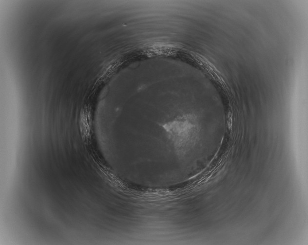 X0000116850915200912221116