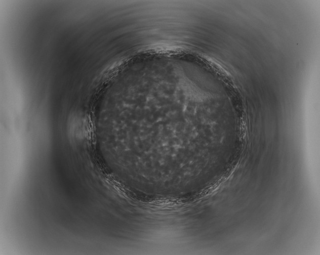 X0000116850917200912221116
