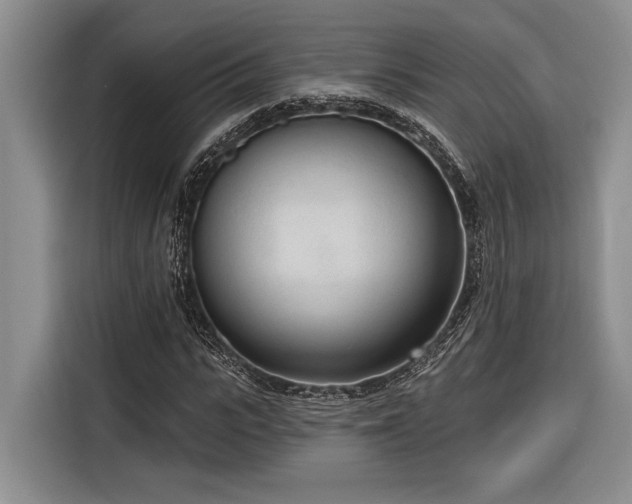 X0000116850919200912221116