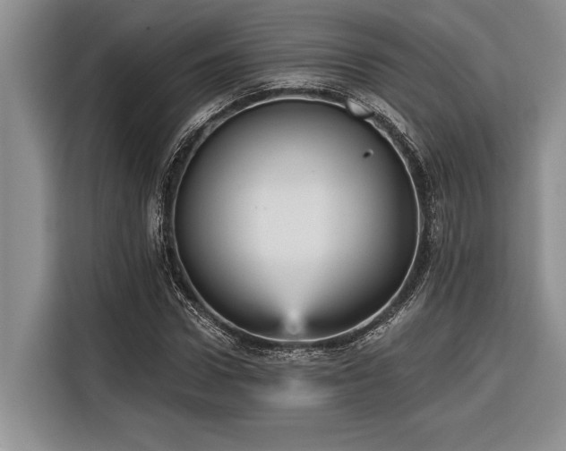 X0000116850922200912221116