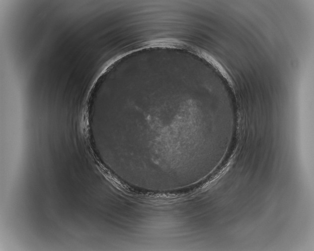 X0000116850923200912221116