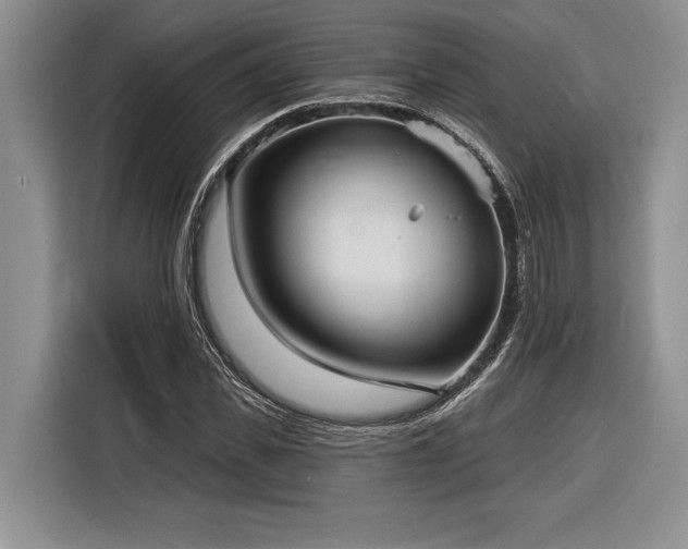 X0000116850925200912221116