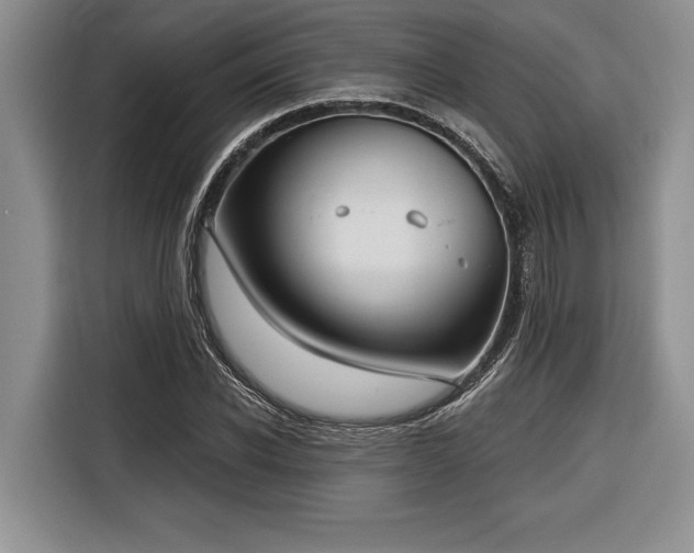 X0000116850926200912221116
