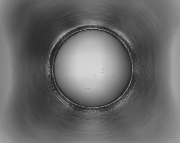 X0000116850927200912221116