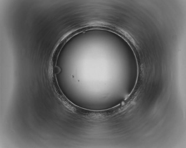 X0000116850931200912221116