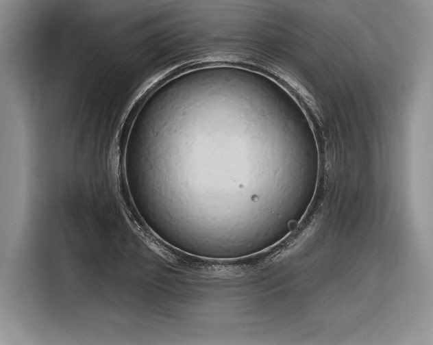 X0000116850933200912221116