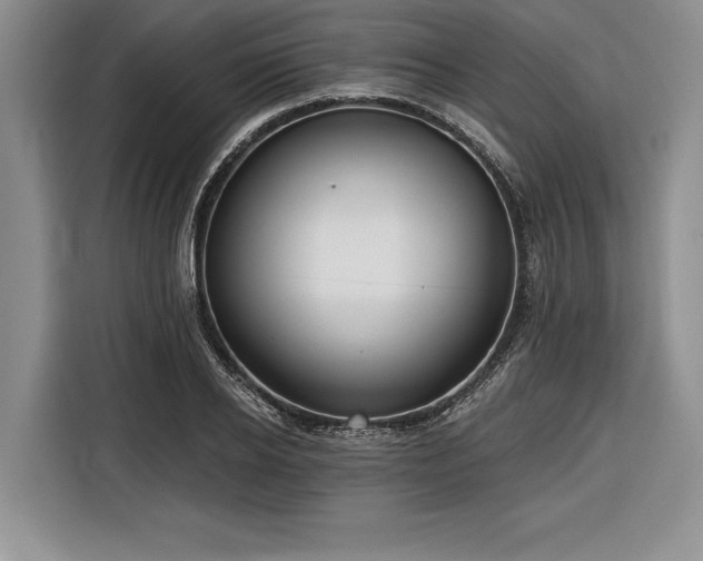 X0000116850934200912221116