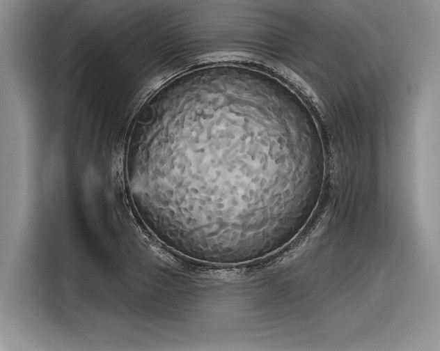 X0000116850937200912221116