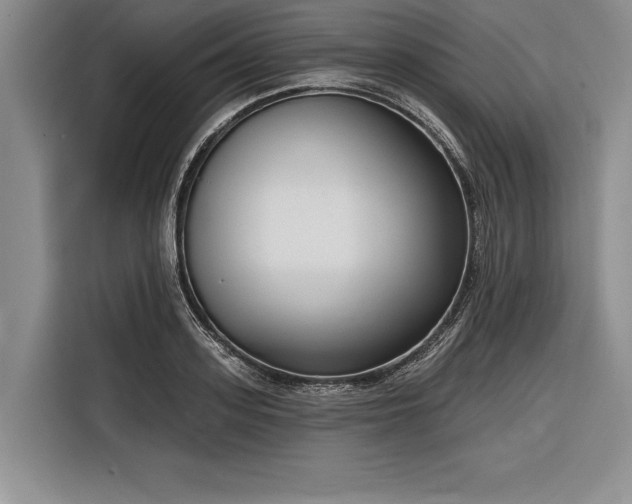 X0000116850939200912221116